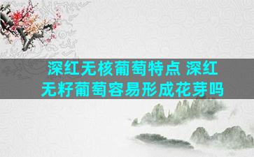 深红无核葡萄特点 深红无籽葡萄容易形成花芽吗